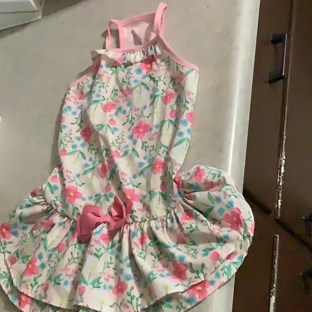 Size large doggie dress
